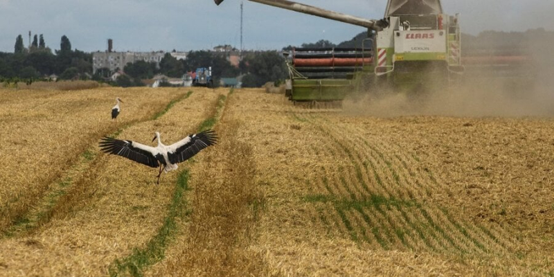 Чекають схвалення регулятора. SigmaBleyzer продає AgroGeneration українській компанії