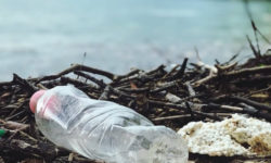 Діє миттєво, впливає на все. Дослідники виявили нову небезпеку пластику