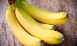 Ердоган спокушає Токаєва інвестиціями. Казахстан почне вирощувати банани в промислових масштабах