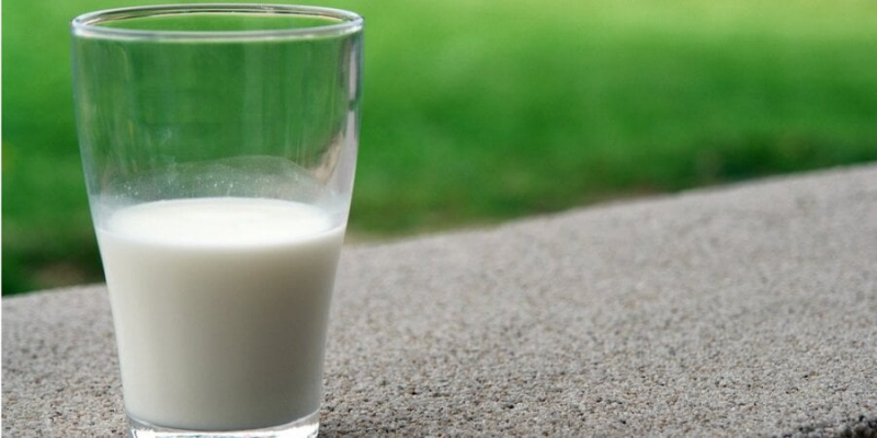 Канада пустила українську молочну продукцію на&nbsp;полиці своїх магазинів