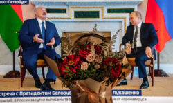 Кооперация их и другие приключения Шурика