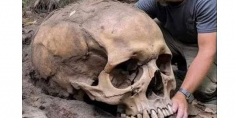 Креаціоністи заявили, що&nbsp;знайшли череп Голіафа&nbsp;&mdash; але є кілька важливих але