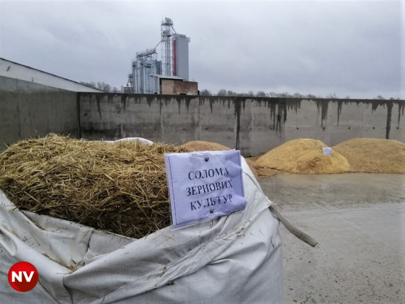 Кури і свині проти Газпрому. Як&nbsp;в&nbsp;Україні народжується ринок біометану і чи є в&nbsp;цього бізнесу шанс заробляти в ЄС