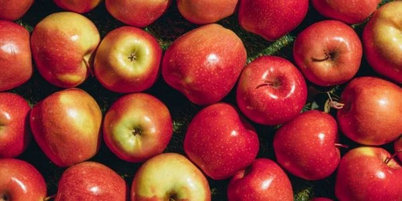 Монополія на&nbsp;фрукт. Apple намагається зареєструвати торгову марку з цілим яблуком