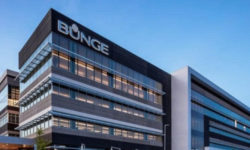 Народження агрогіганта. Два великих зернотрейдери Viterra і Bunge оголосили про злиття