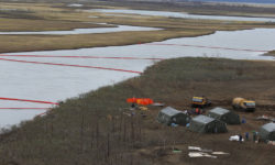«Норникель» разводят на рыбу