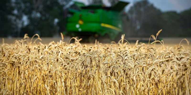 Новини компаній: 1,84 млрд грн податків сплатила Астарта до&nbsp;бюджету за&nbsp;10 місяців 2023 року