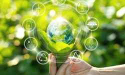 Новини компаній: Астарта впроваджує систему сталих закупівель