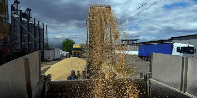 П&rsquo;ять країн ЄС виступили проти плану України щодо обмежень на&nbsp;експорт зерна&nbsp;&mdash; ЗМІ