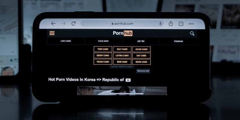 Податкова в&nbsp;Україні оштрафувала PornHub