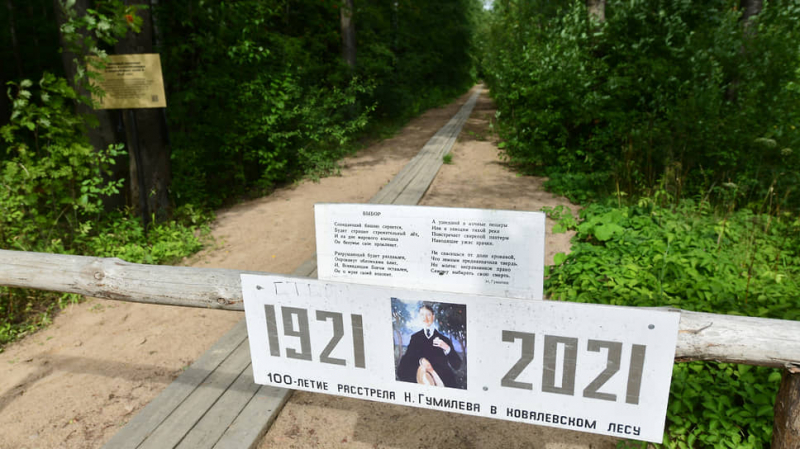 &laquo;Пуля, им отлитая, отыщет грудь мою, она пришла за мной&raquo;