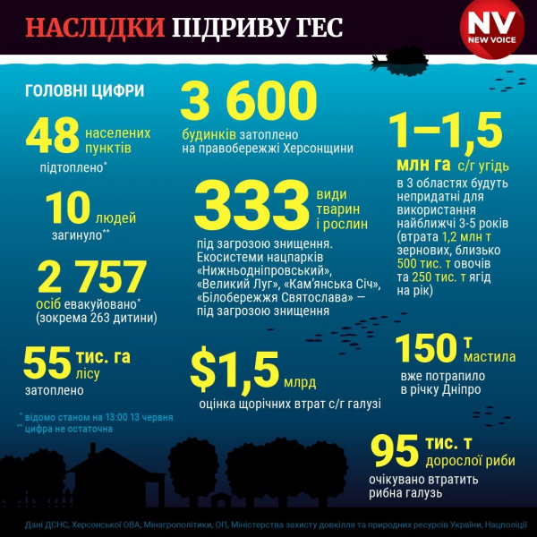 Років вісім, не менше. Скільки часу знадобиться українським аграріям, щоб впоратися з наслідками підриву Каховської ГЕС
