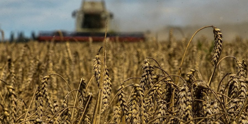 Росія з липня знищила 280 000 тонн українського зерна у портах