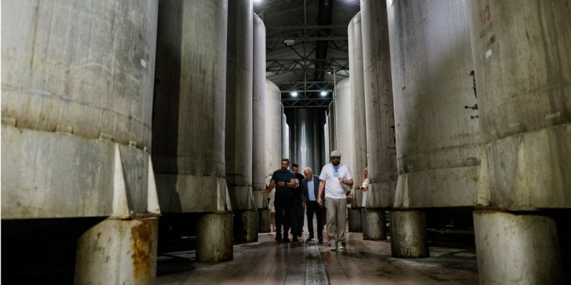 Спиртосховище на 600 тисяч літрів. На Закарпатті відкрили новий коньячний завод — фото