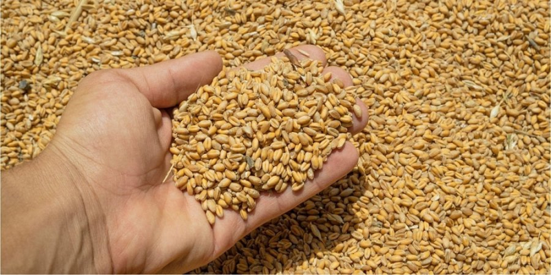 Світові ціни на&nbsp;продовольство вийшли на&nbsp;нові цифри&nbsp;&mdash; FAO