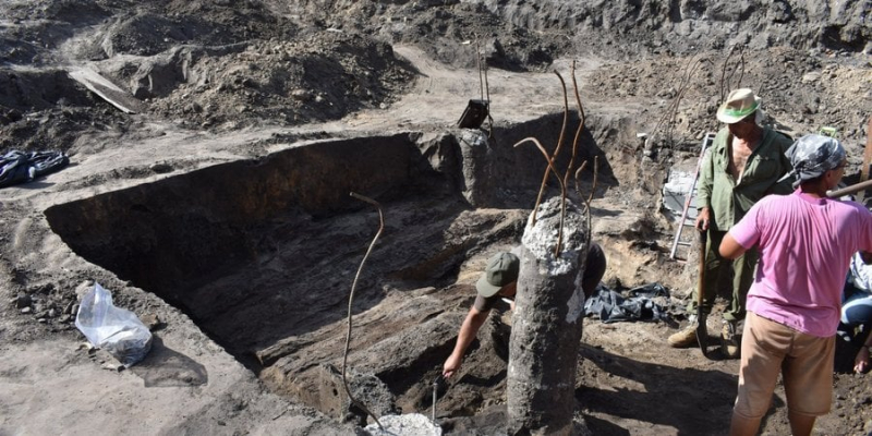 У&nbsp;Черкасах тривають розкопки на місці стародавнього замку. Уже знайшли монети й&nbsp;артефакти