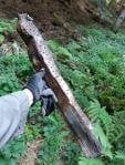 У&nbsp;Карпатах знайшли залишки німецького бомбардувальника часів Другої світової війни