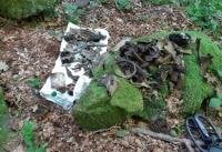 У&nbsp;Карпатах знайшли залишки німецького бомбардувальника часів Другої світової війни