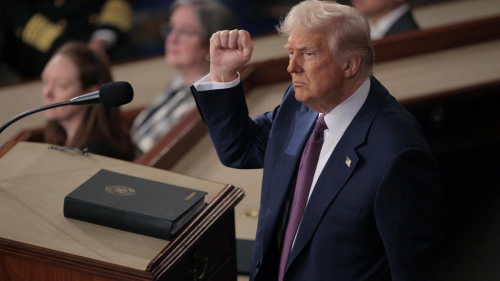 Вэнс заявил, что Трамп возведет стену между США и Мексикой к 2029 году