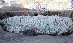 Вражає. В Японії знайшли 100 тисяч рідкісних монет — фото
