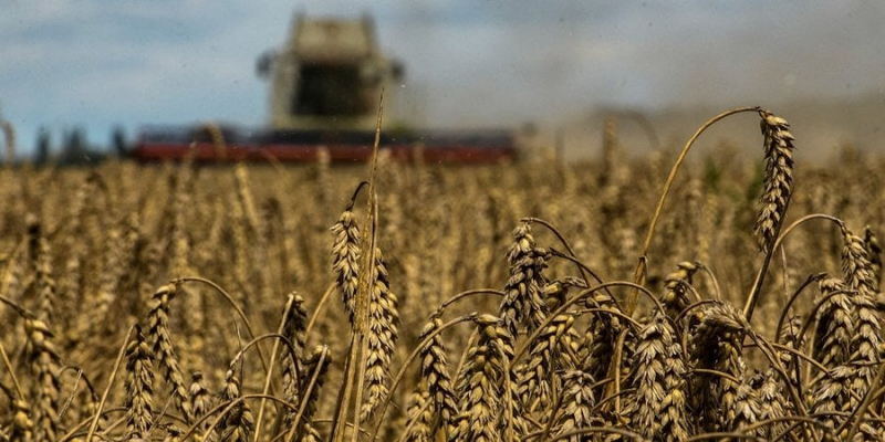 Єврокомісія не&nbsp;продовжила заборону на імпорт українського зерна до п&rsquo;яти країн ЄС